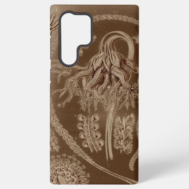 Vintag Haeckel Samsung Galaxy Hülle (Rückseite)