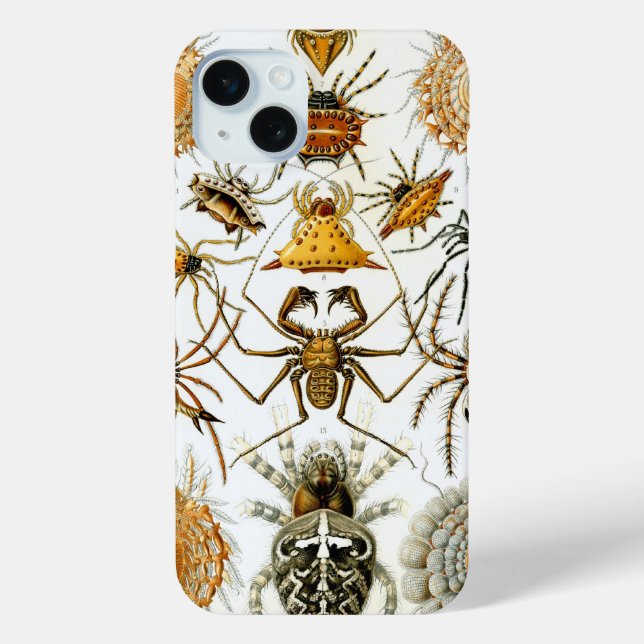Vintag Haeckel Spiders Case-Mate iPhone Hülle (Rückseite)