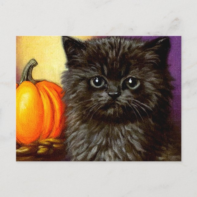 Vintag Halloween Kitten Postkarte (Vorderseite)