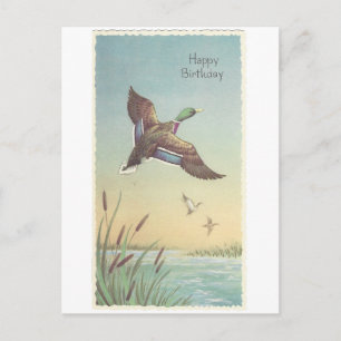 Vintag Happy Birthday Mallard Postkarte