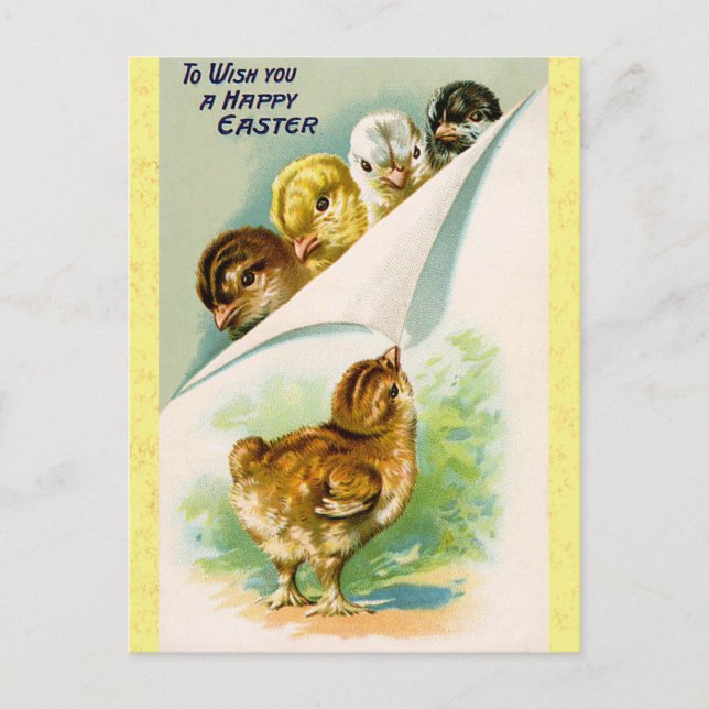 Vintag Happy Oaster Niedlich Chicks Postkarte (Vorderseite)