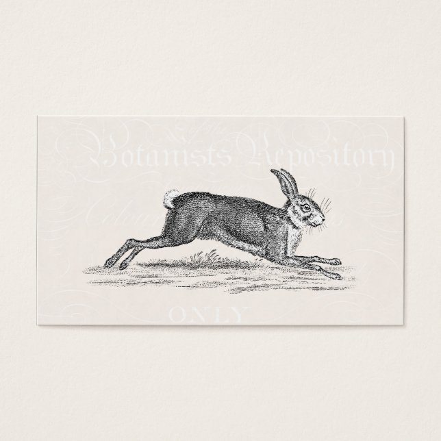 Vintag Hare Bunny Rabbit Illustration - Kaninchen (Vorderseite)