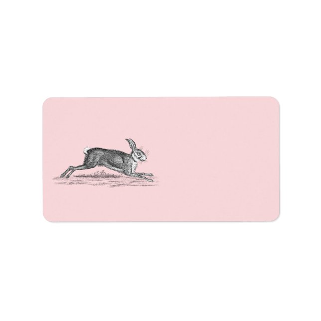 Vintag Hare Bunny Rabbit Illustration - Kaninchen Adressaufkleber (Vorne)
