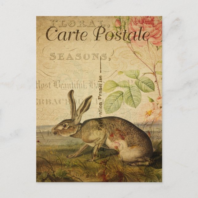 Vintag Hare Rabbit Floral Blume Französisch Postkarte (Vorderseite)