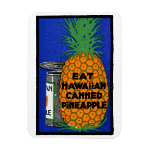 Vintag-Hawaiianische Ananas Magnet