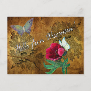 Vintag Hello From Wisconsin Postcard Postkarte