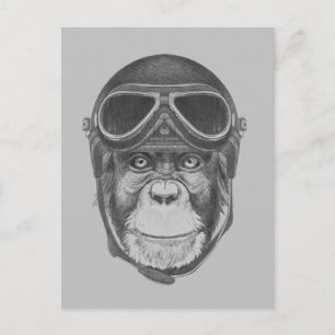 Vintag Helmet Chimpanzee Postkarte
