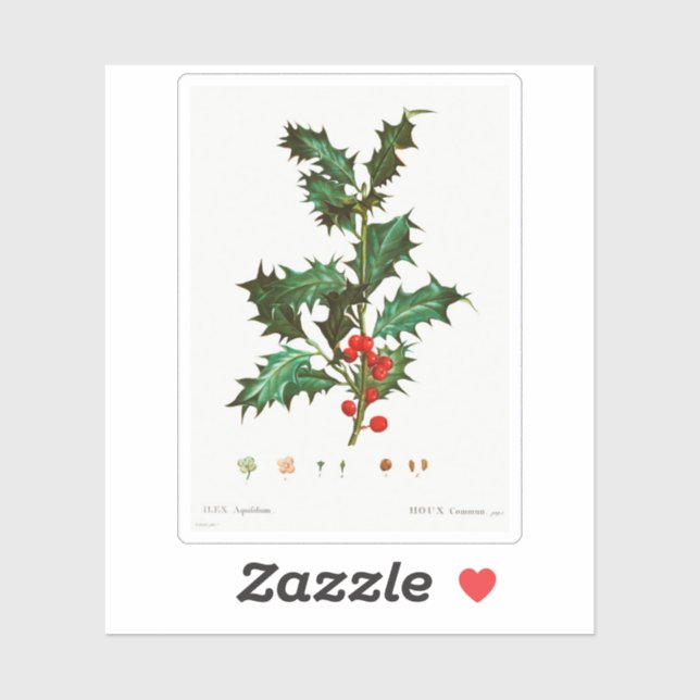 VINTAG HOLLY BOTANICAL REDOUTÉ CUSTOM STICKER (Blatt)
