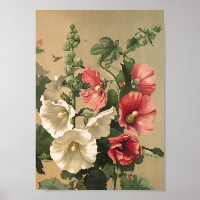 Vintag Hollyhocks Art Poster (Vorne)