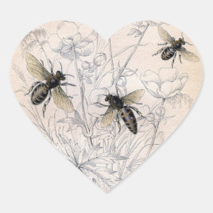 Vintag Honey Bee Art Print Herz-Aufkleber