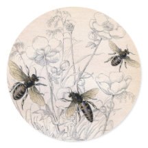 Vintag Honey Bee Art Print