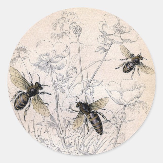 Vintag Honey Bee Art Print Runder Aufkleber (Vorderseite)