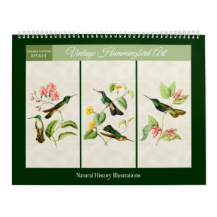 Vintag Hummingbird Art. 2024 Kalender