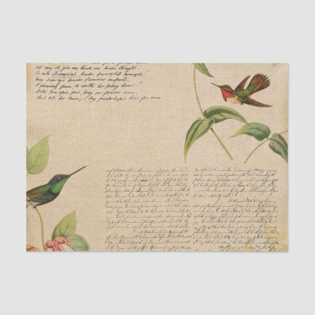 Vintag Hummingbird Ephemera Seidenpapier (Vorderseite)