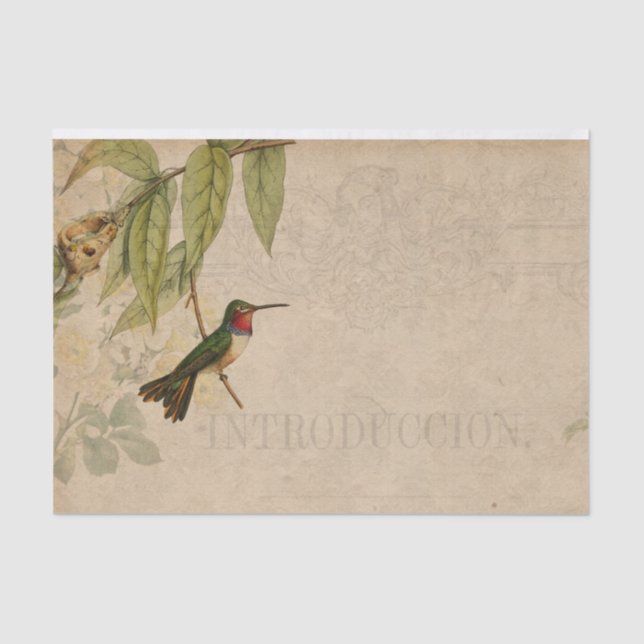 Vintag Hummingbird Ephemera Seidenpapier (Vorderseite)