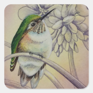 Vintag Hummingbird No. 5 Wasserfarben Kunst Quadratischer Aufkleber