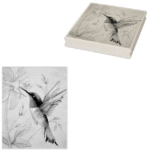 Vintag Hummingbird Nr. 6 Wasserfarben Kunst Gummistempel