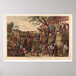 Vintag in Kalifornien (0604A) Poster