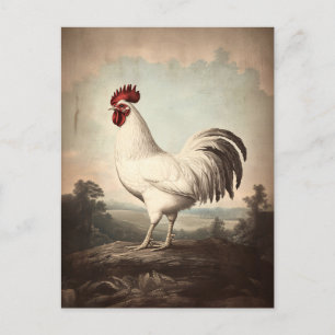 Vintag Inspirierte Darstellung des White Rooster Postkarte