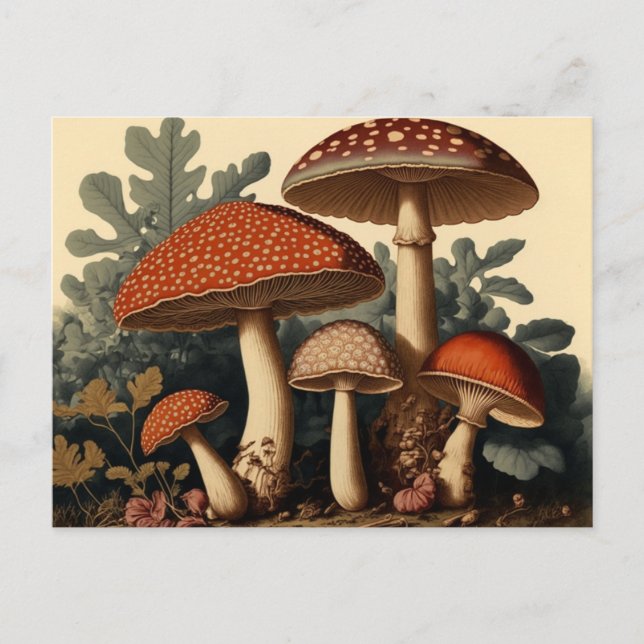 Vintag Inspirierter Kernstück Mushroom Art Postkarte (Vorderseite)