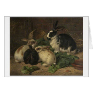 Vintag - Kaninchen, die Kopfsalat essen,