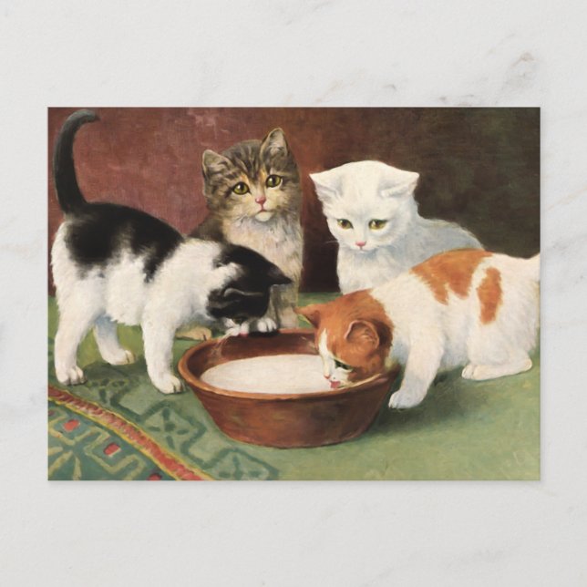 Vintag Katzen und Milch Postkarte (Vorderseite)