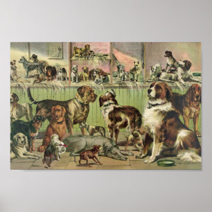 Vintag Kennel Club Illustration Poster