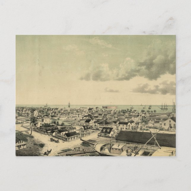 Vintag Key West Illustration Postkarte (Vorderseite)