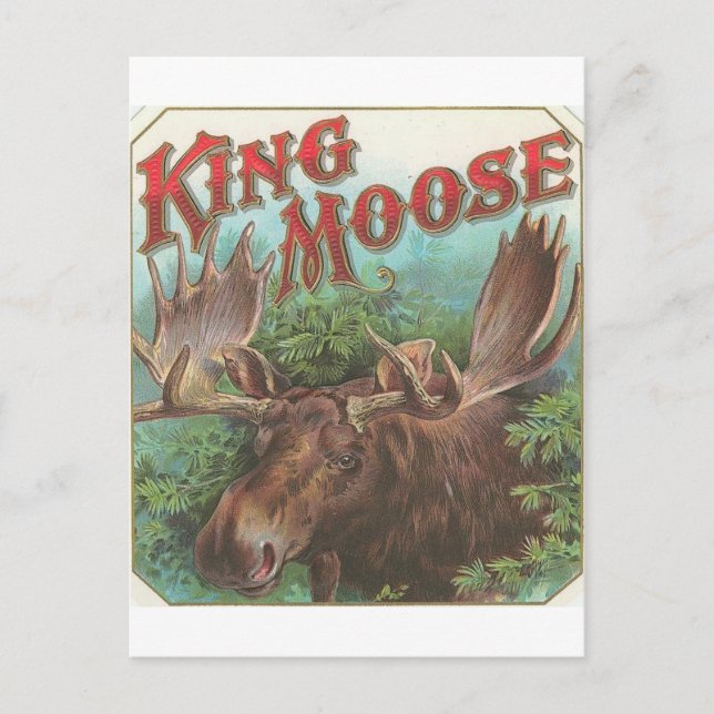 Vintag King Moose Postkarte (Vorderseite)