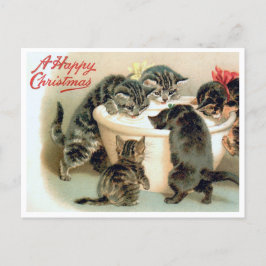 Vintag Kitten Postcard - Niedliche Weihnachtskatze Postkarte