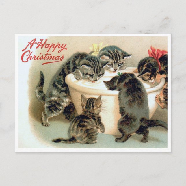 Vintag Kitten Postcard - Niedliche Weihnachtskatze Postkarte (Vorderseite)