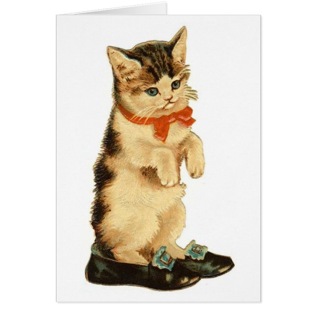 Vintag Kitty (Vorne)