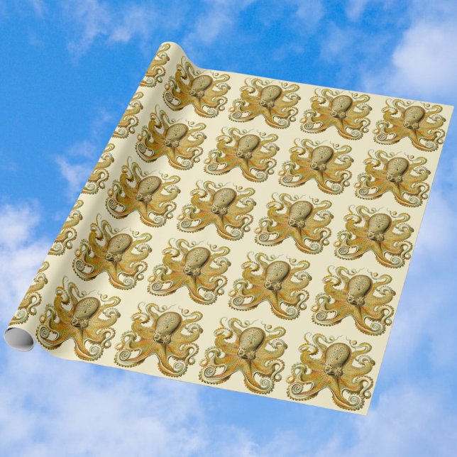 Vintag Kraken, Octopus Gamochonia, Ernst Haeckel Geschenkpapier (Von Creator hochgeladen)
