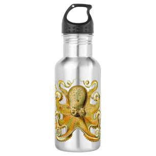 Vintag Kraken, Octopus Gamochonia, Ernst Haeckel Trinkflasche