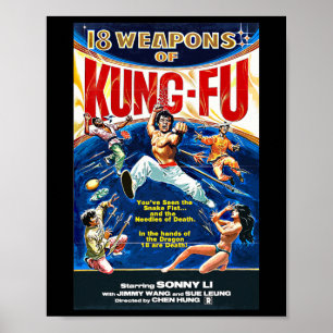 Vintag Kungfu Karate Bjj Martial Arts Movie Retro Poster