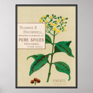 Vintag: Lebensmittelwerbung - Poster