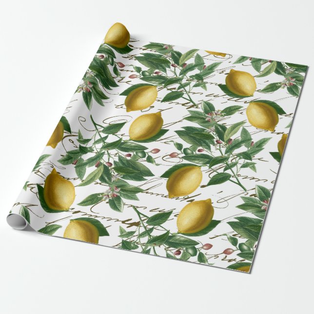 Vintag Lemon Branch French Script Fruit Geschenkpapier (Ungerollt)