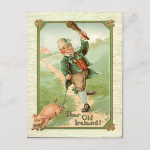 Vintag Leprechaun Pig Shillelagh St Patrick's Day Postkarte