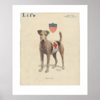 Vintag Life Magazine Cover Poster Mai 1917