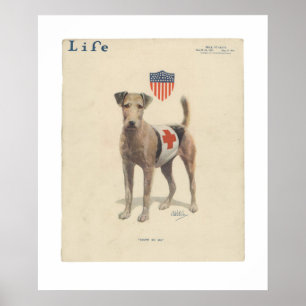 Vintag Life Magazine Cover Poster Mai 1917