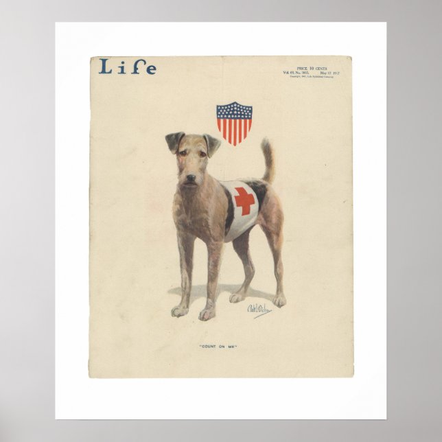 Vintag Life Magazine Cover Poster Mai 1917 (Vorne)