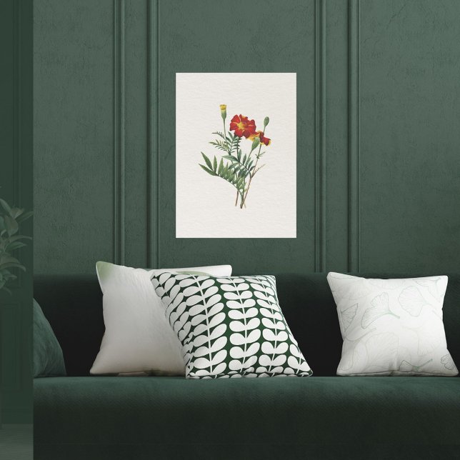 Vintag Look Botanische Marigolds Poster (Von Creator hochgeladen)