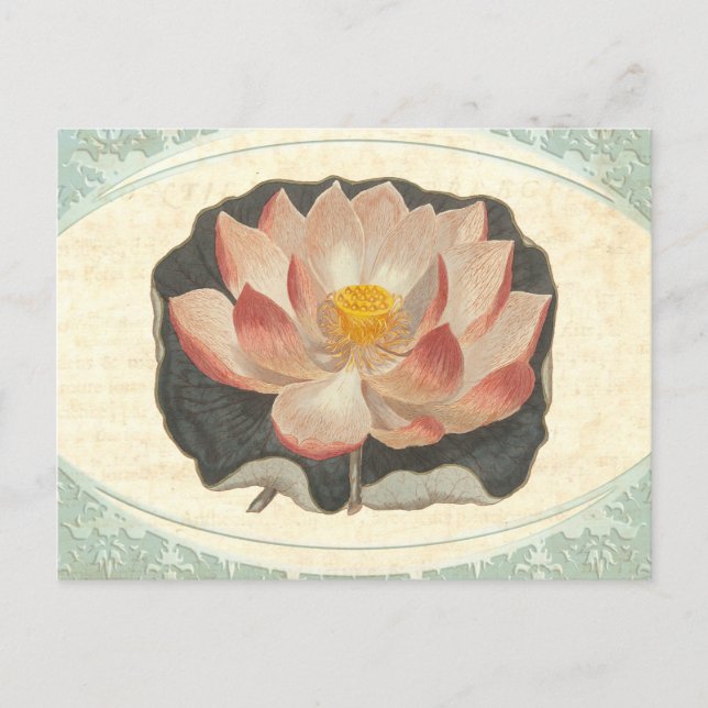 Vintag Lotus Damask Elegante Antik Postkarte (Vorderseite)