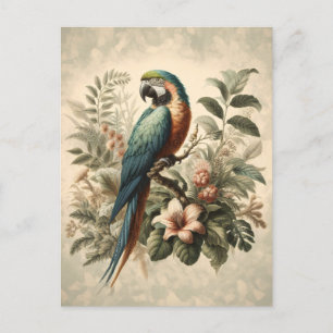Vintag Macaw Botanical Painting Postkarte
