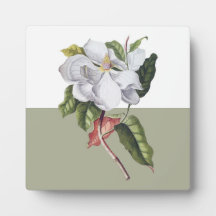 Vintag Magnolia Blossom Colorblock