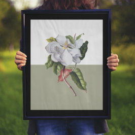 Vintag Magnolia Blossom Colorblock Poster