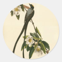 Vintag Magnolia Floral Bird Flycatcher Custom