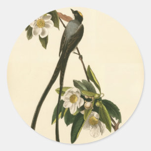 Vintag Magnolia Floral Bird Flycatcher Custom Runder Aufkleber