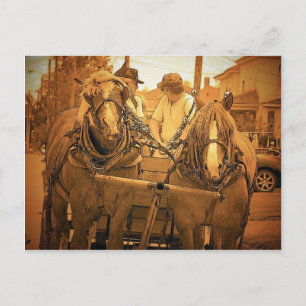 Vintag Maine Postkarte