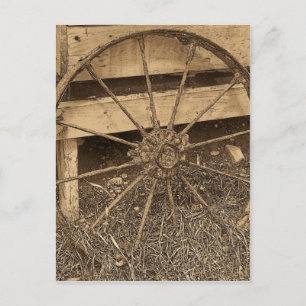 Vintag Maine Postkarte